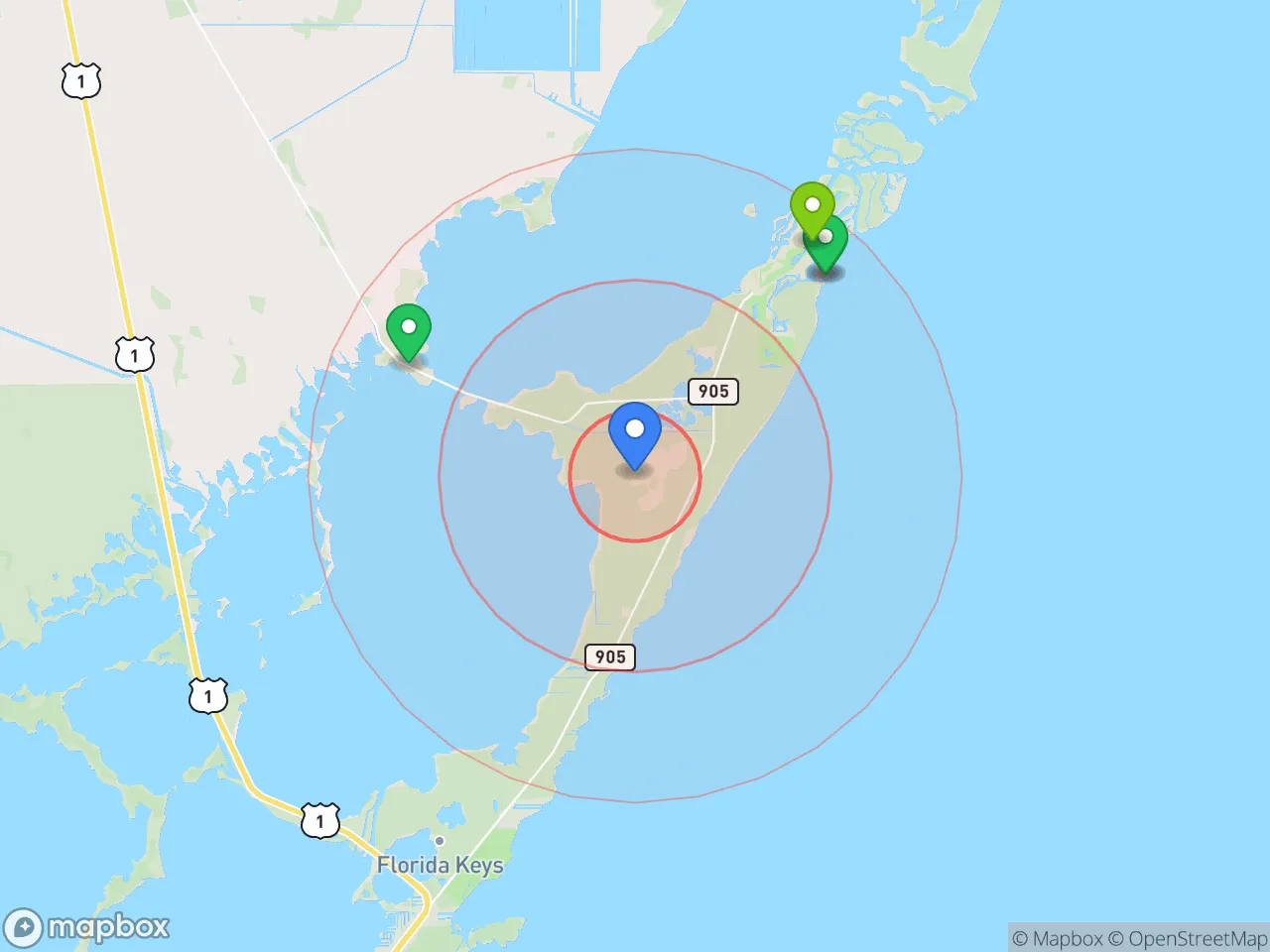 Hood Index scan area