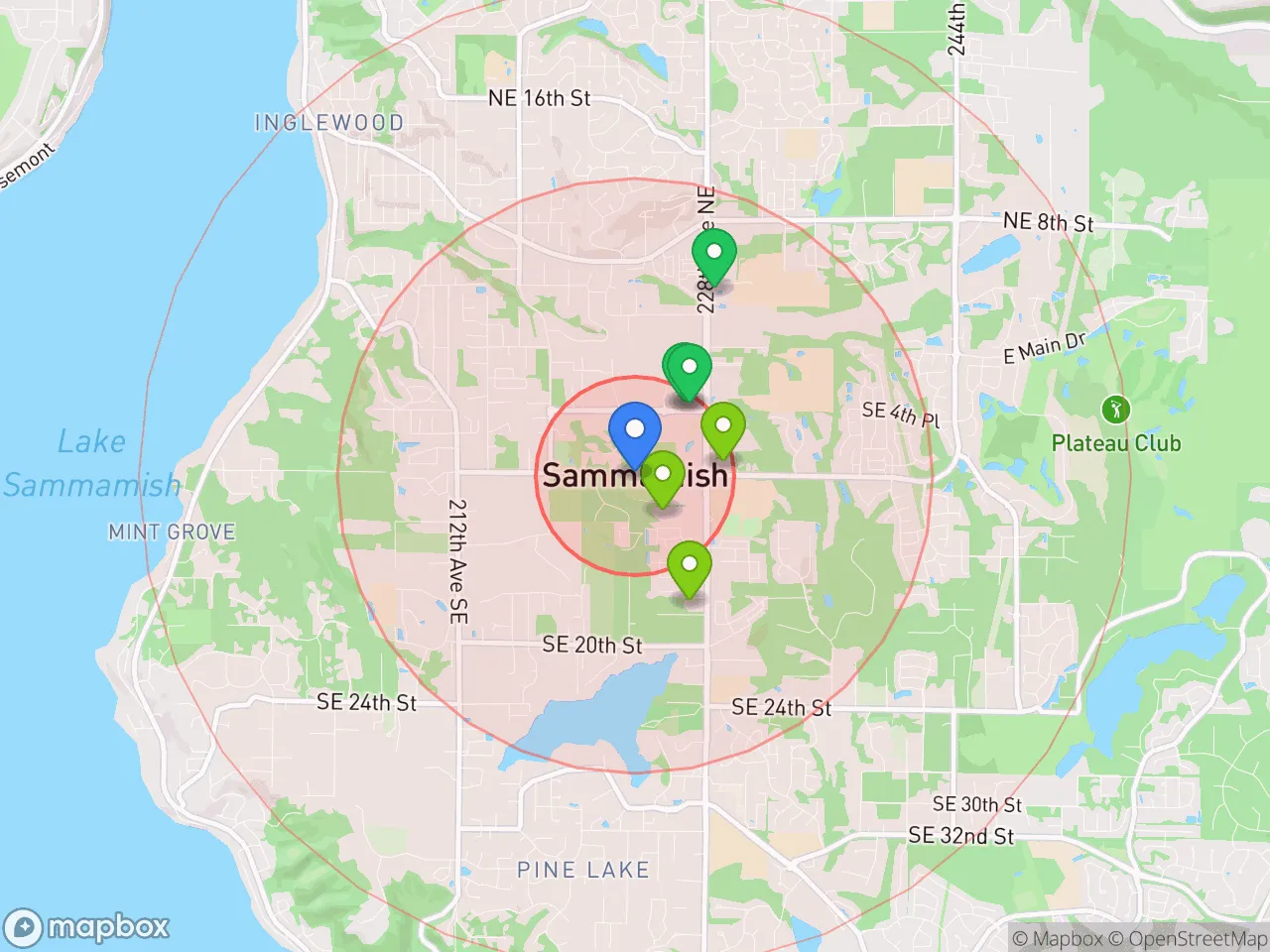 Hood Index scan area