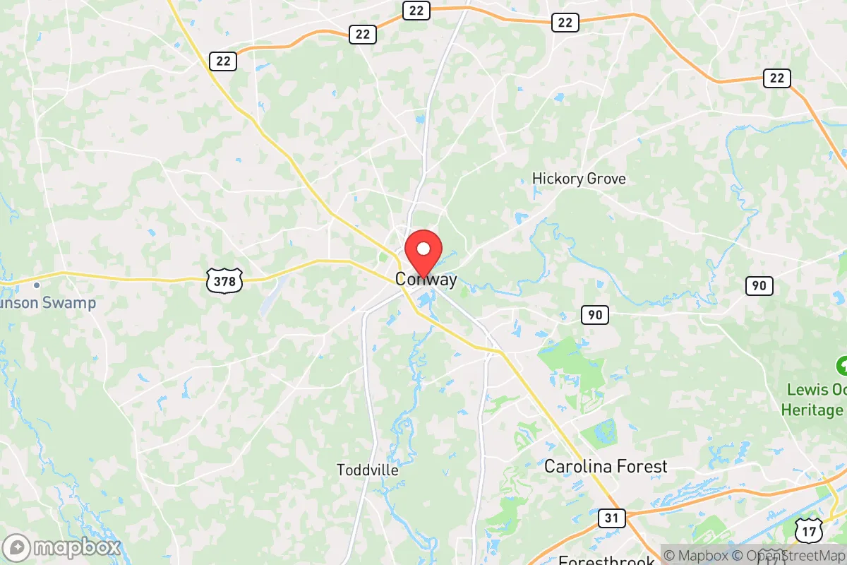 Map centered at 33.8345, -79.0489