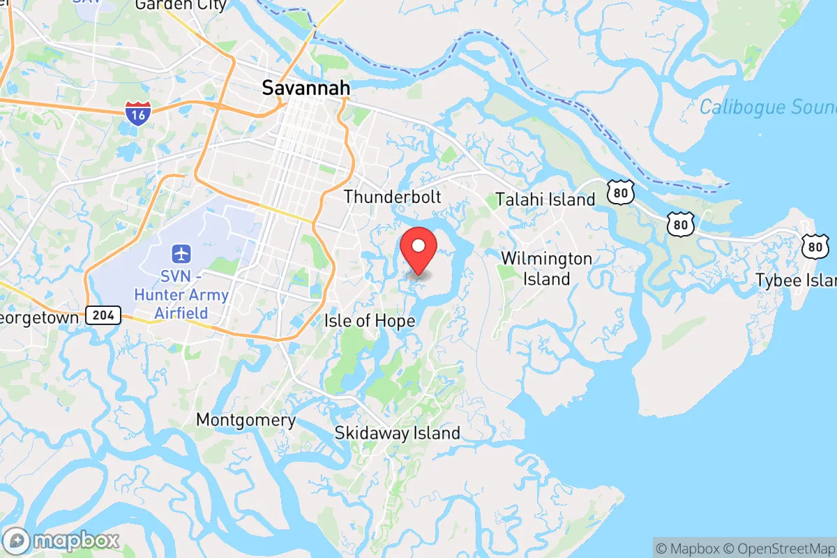 Map centered at 31.9992, -81.0368