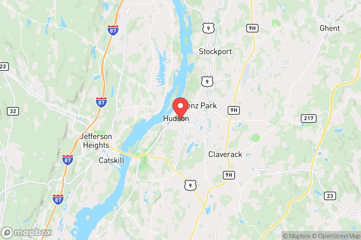 Map centered at 42.2515, -73.7859