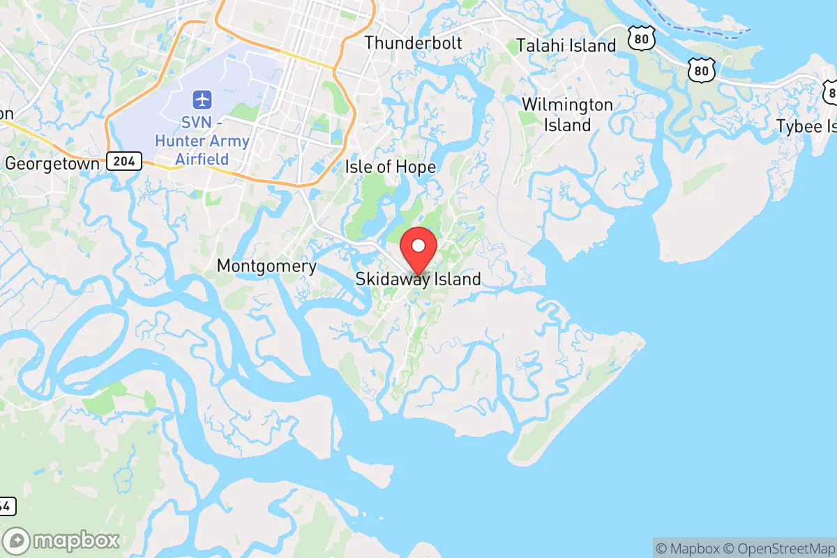 Map centered at 31.9349, -81.0471