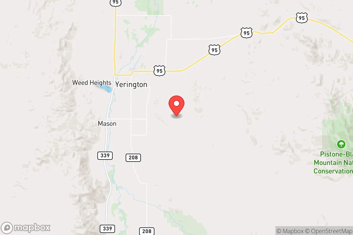 Map centered at 38.9555, -119.1101