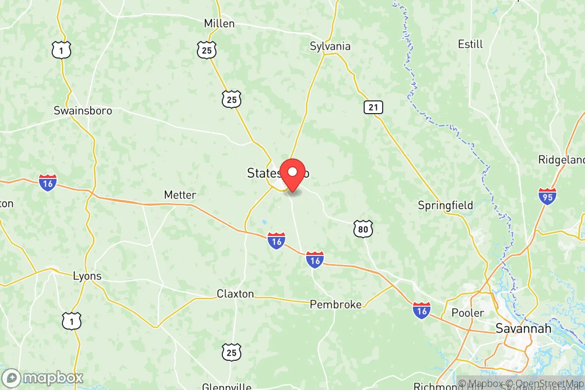 Map centered at 32.3967, -81.7430